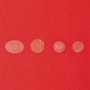 SC-00009711-4.jpg