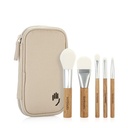 Mini Brush Kit - N.33