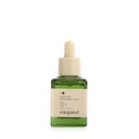 Green Tea + Hyaluronic Acid Vegan Hydrating Serum - 35ml