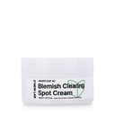 Heartleaf AC Blemish Clearing Spot Cream - 30ml
