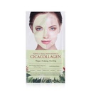 Perfect Real Performance Cica Collagen Sheet Mask - 23g x 1 pc