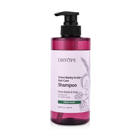 Fresh Mint Green Barley Scalp & Hair Care Shampoo - 500ml
